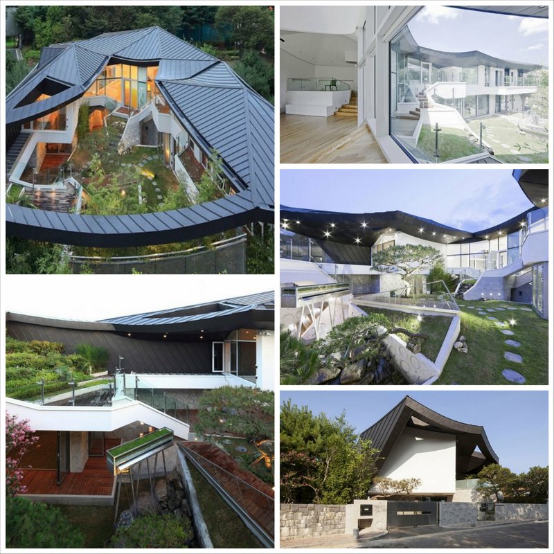 Сад на крыше дома в Южной Корее