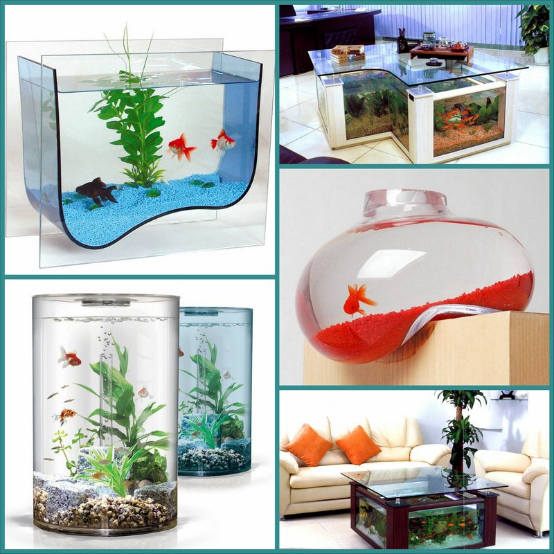 Морской аквариум в вашем доме